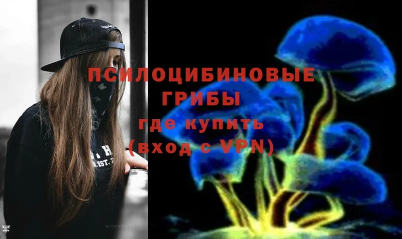 Галлюциногенные грибы Psilocybine cubensis  наркотики  Дагестанские Огни 